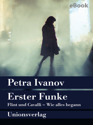 cover image of Erster Funke